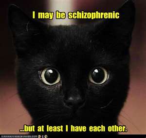 schizophrenic-cat.jpg