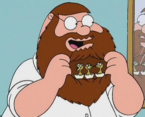 Image result for peter griffin beard