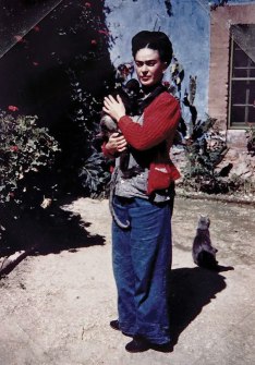 Frida Kahlo's cat feeling shunned as she cuddles a monkey