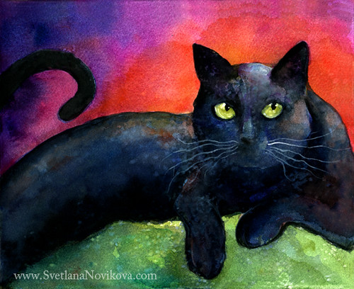 Svetlana Novikova, Black Cat
